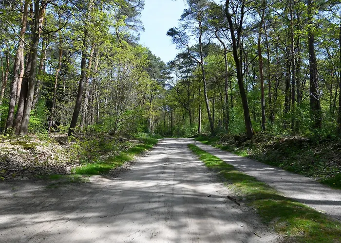 Wina Boshuisje Veluwe * Otterlo