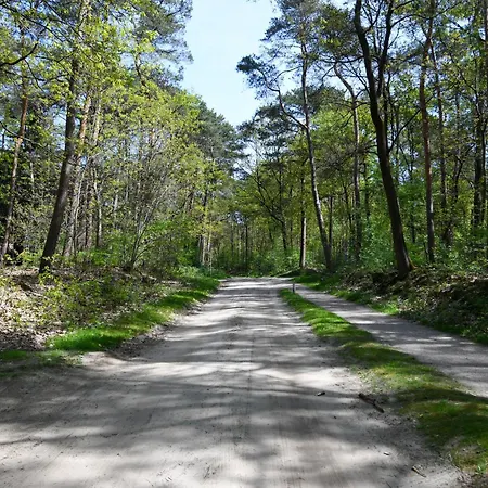 Wina Boshuisje Veluwe * Otterlo