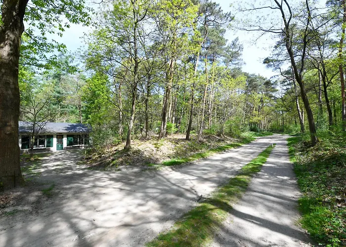 Wina Boshuisje Veluwe Vakantiehuis *